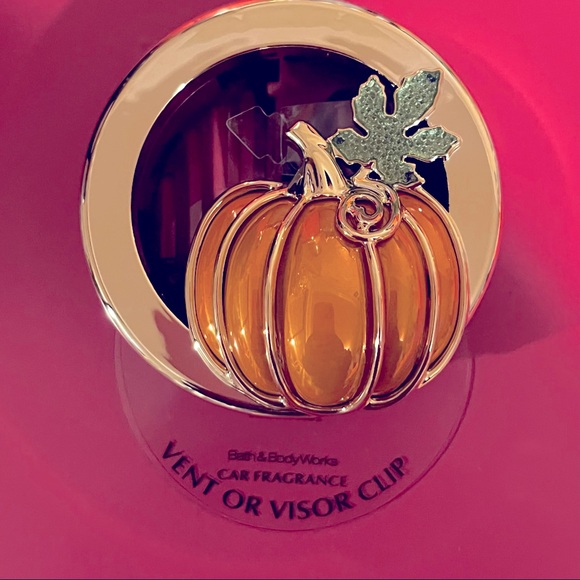 BBW Car Vent/Visor Clip - Picture 1 of 2